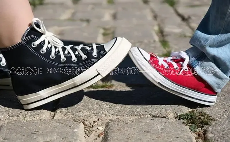 Z6·尊龙(官方认证)网站