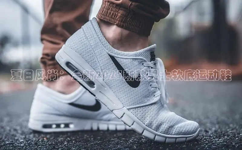 尊龙卡z6官方网站入口