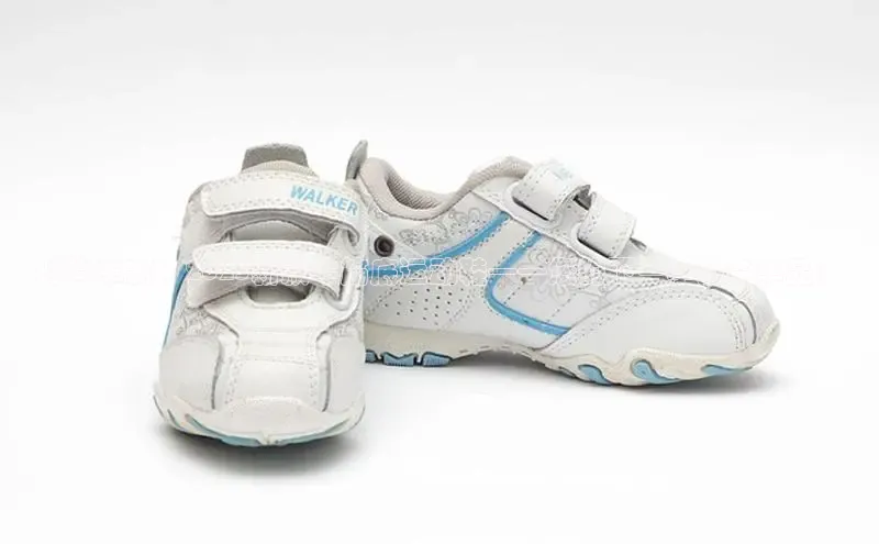 尊龙卡z6官方网站入口